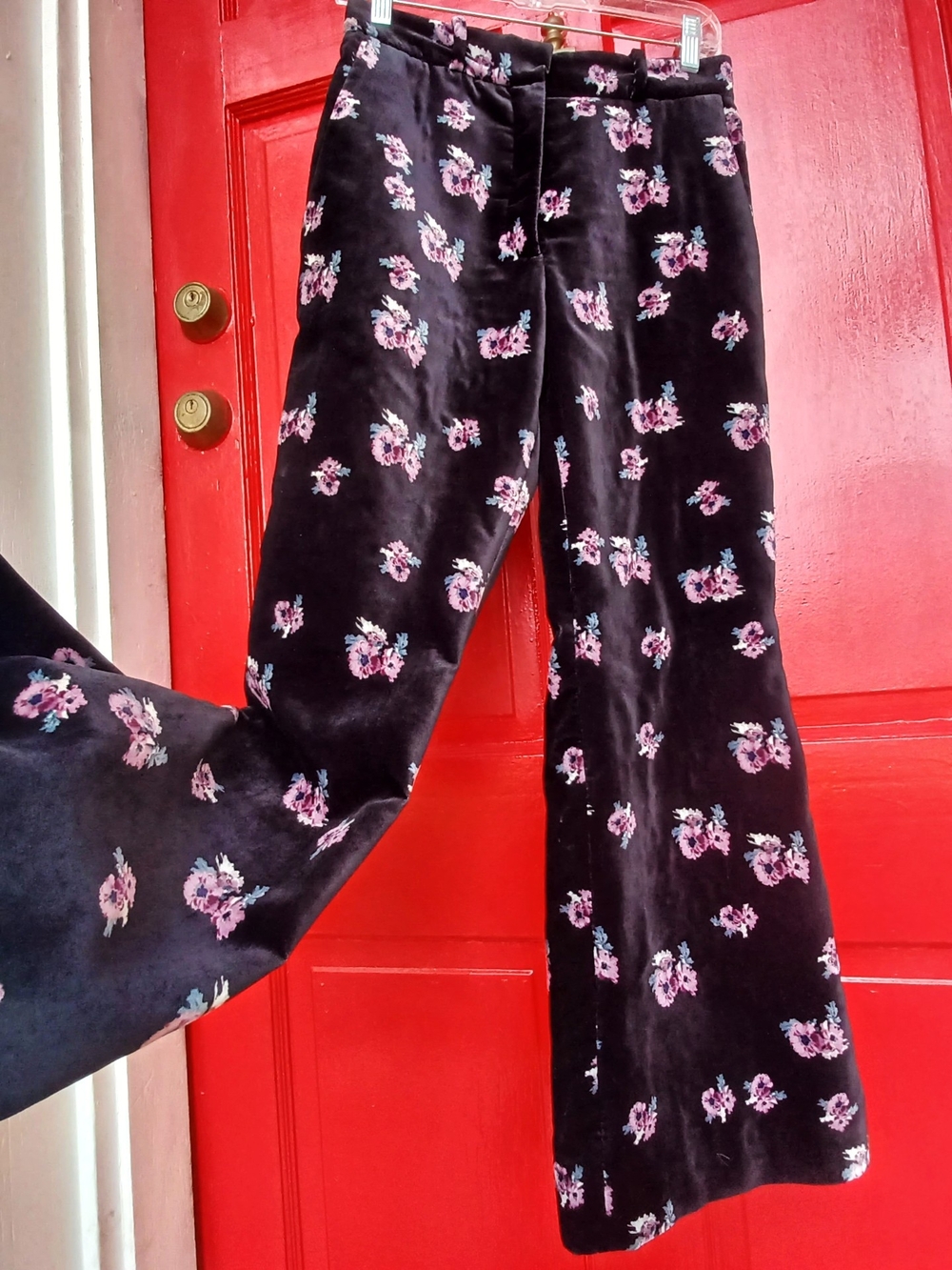 Black Velvet Ankle Pants with Pink Floral Print